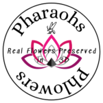 Pharaohs Phlowers
