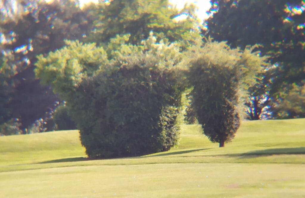 Image shows the same tree, but with the lens attached.