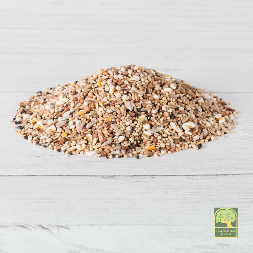 Image shows a pile of birdseed.