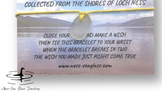 D3224858-E3F8-4E16-9999-D86C49F39447