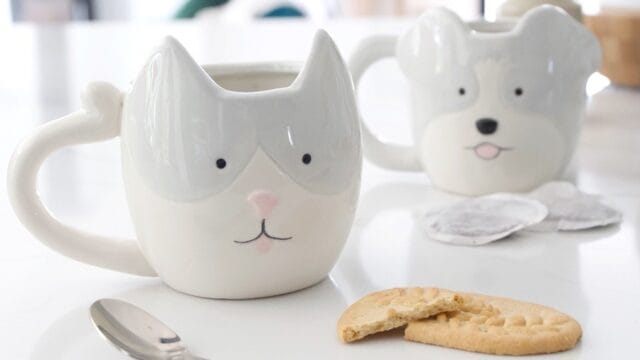 tn0za7vewby95igukm3p (1)