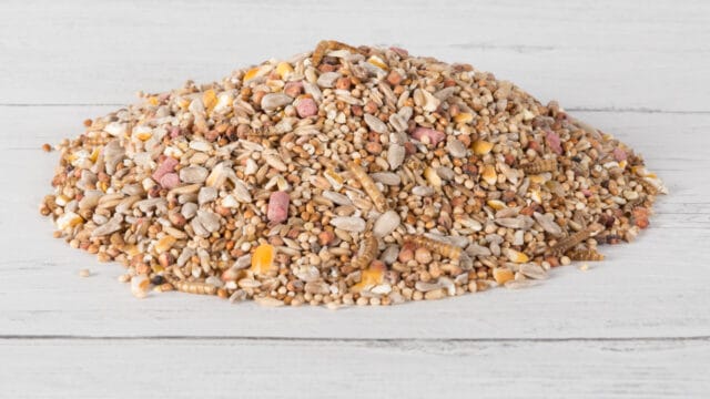 Laverock-Bird-food-High-Energy-WBF-with-mealworms-1