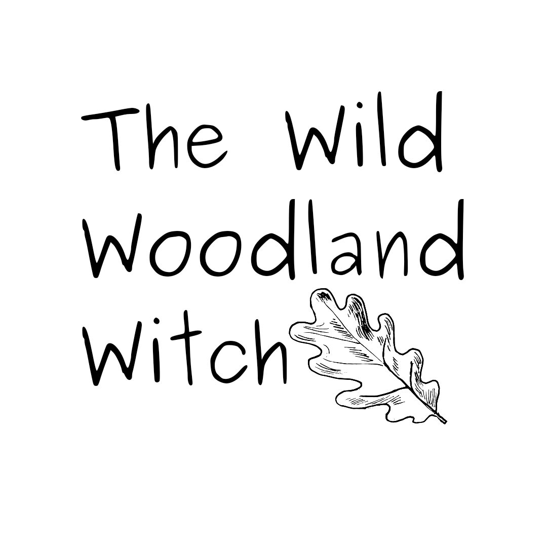 20240209_163316_0001