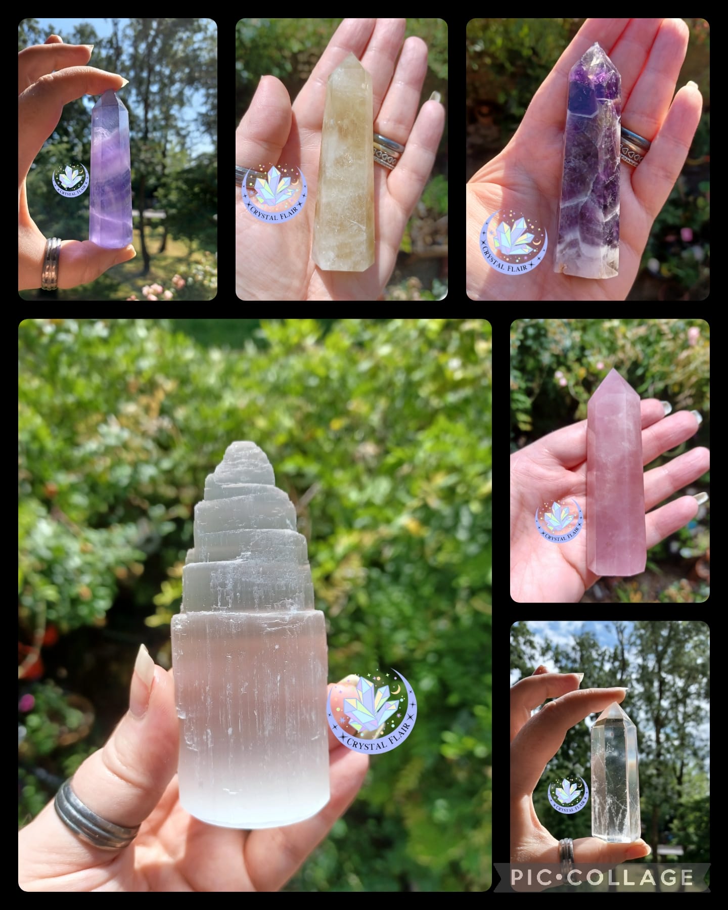 Collage_2024-01-27_14_38_36