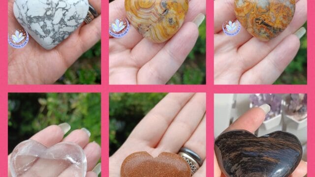 Collage_2024-02-06_12_48_00