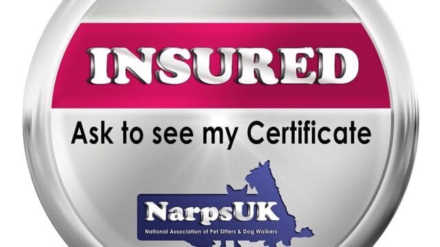 A534D013-7BCC-455D-83F2-F0DCAEC67DA9