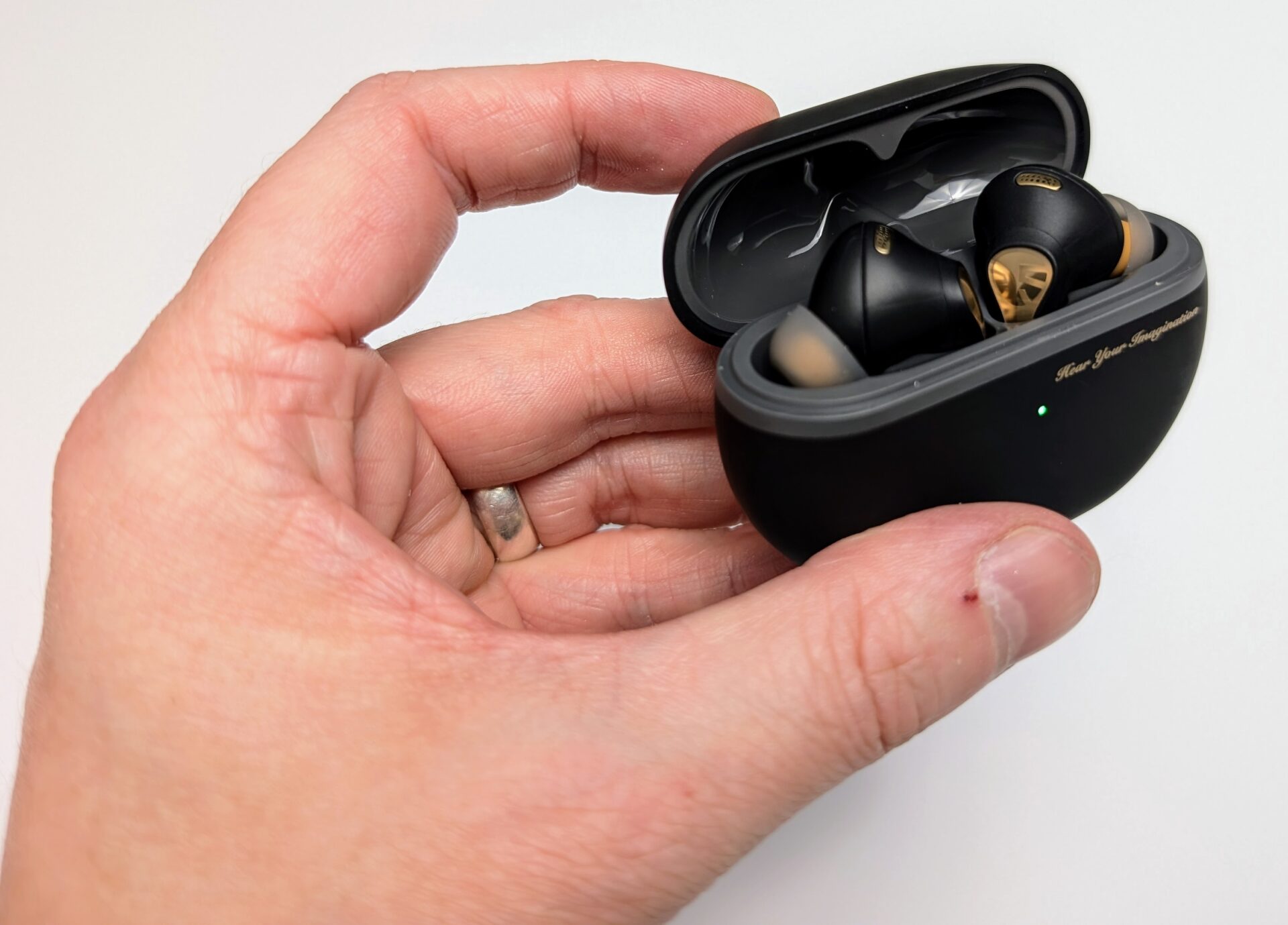 Image shows the earbuds in the charging case.